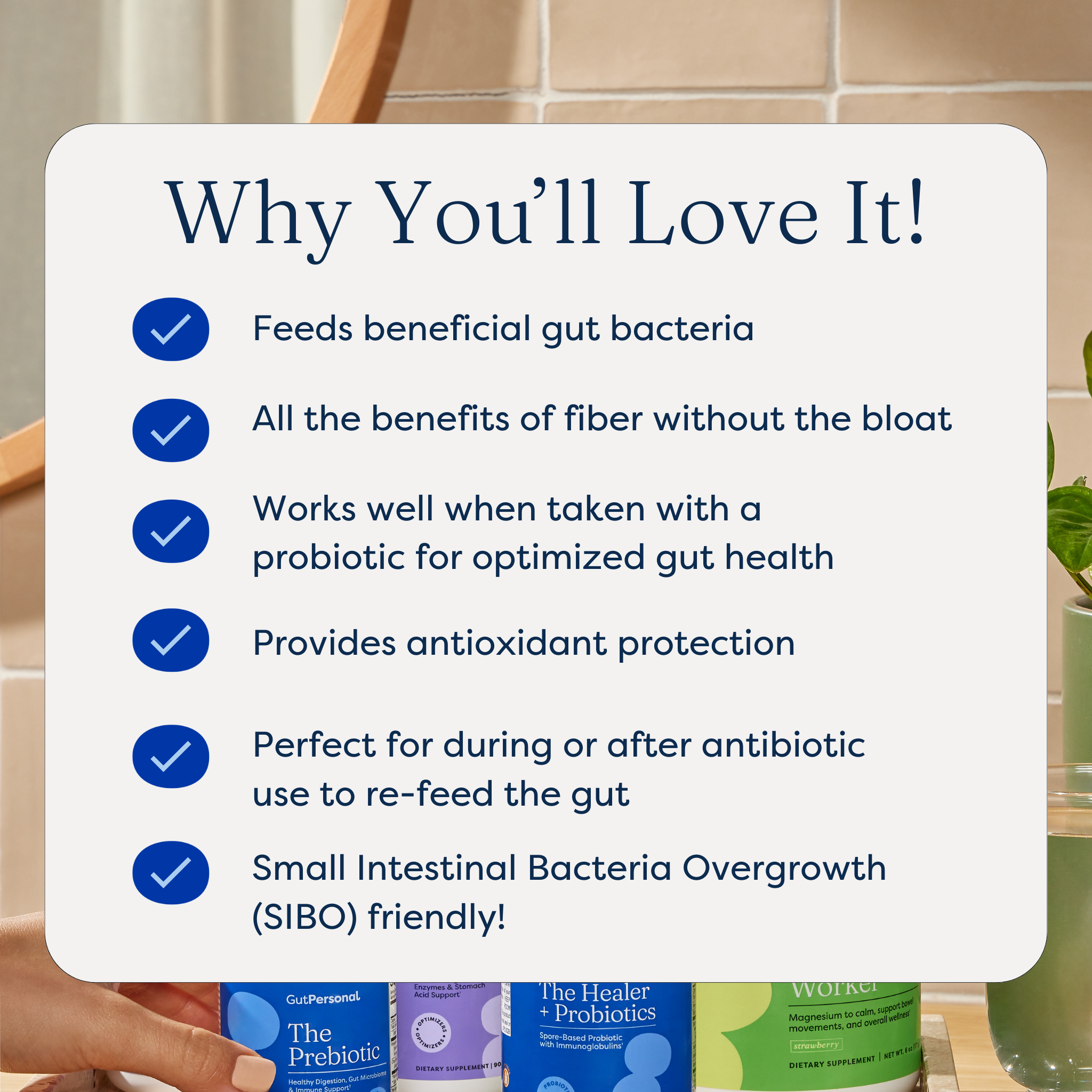 image of the benefits of the prebiotic by gutpersonal